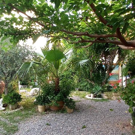 Casa Con Jardin Frente Playa De Burriana Βίλα Δωμάτιο φωτογραφία