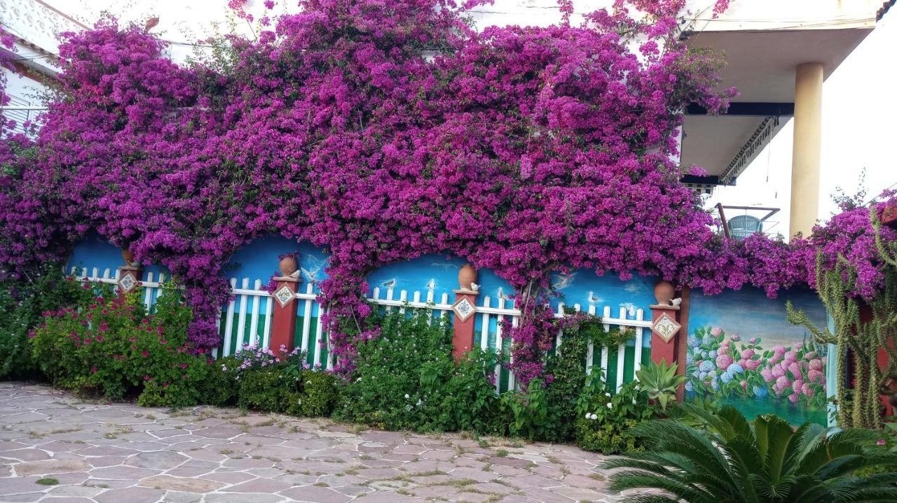 Casa Con Jardin Frente Playa De Burriana Βίλα Εξωτερικό φωτογραφία
