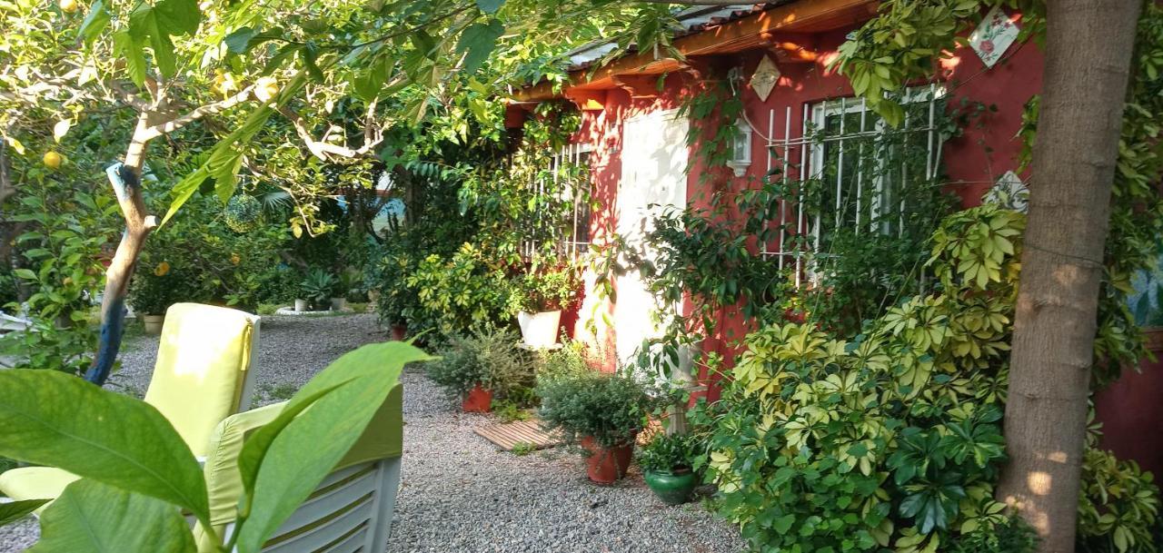 Casa Con Jardin Frente Playa De Burriana Βίλα Εξωτερικό φωτογραφία