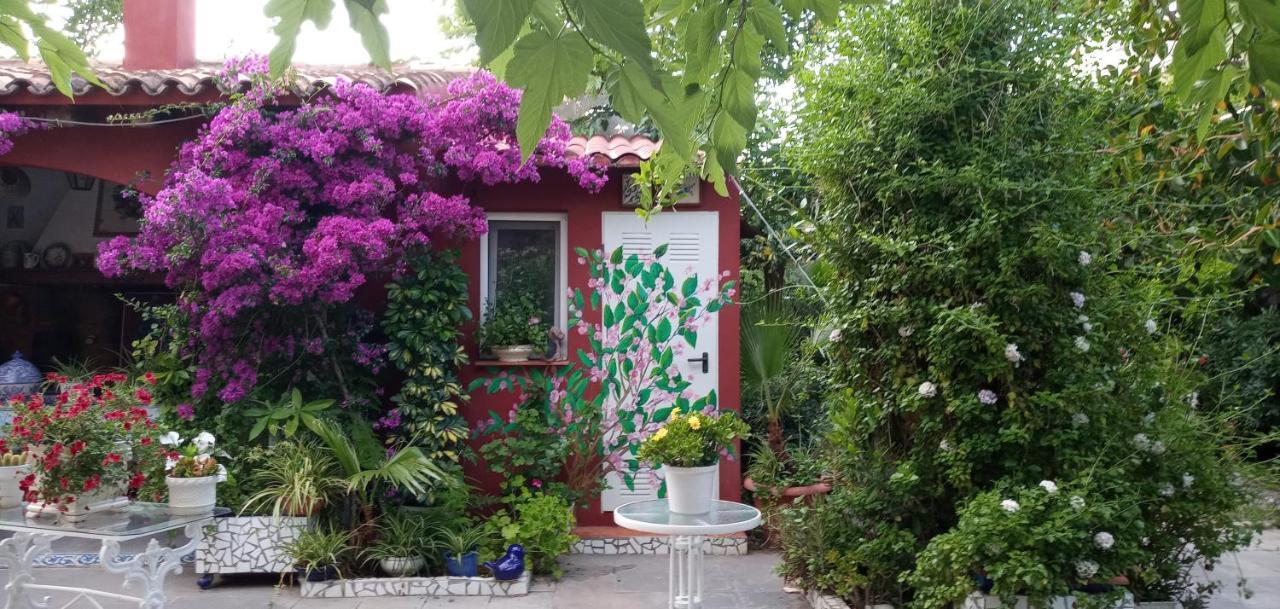 Casa Con Jardin Frente Playa De Burriana Βίλα Εξωτερικό φωτογραφία