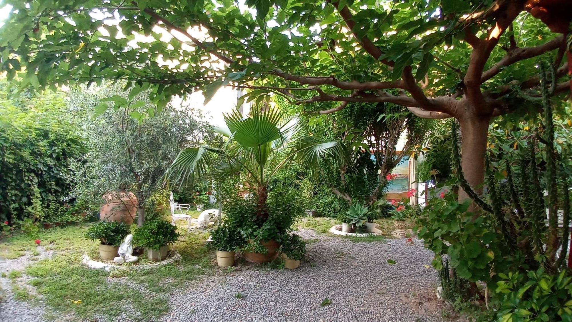 Casa Con Jardin Frente Playa De Burriana Βίλα Δωμάτιο φωτογραφία