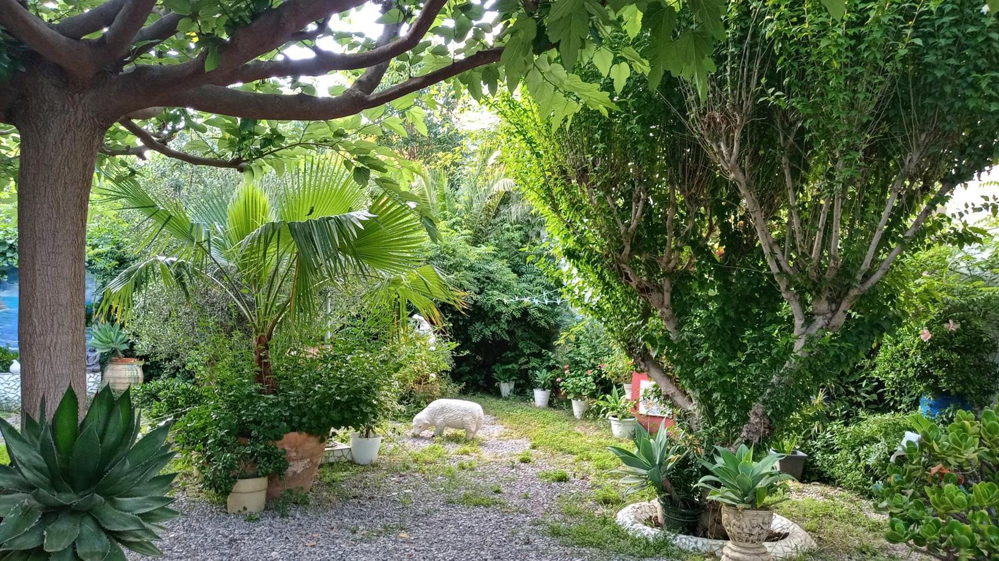 Casa Con Jardin Frente Playa De Burriana Βίλα Δωμάτιο φωτογραφία