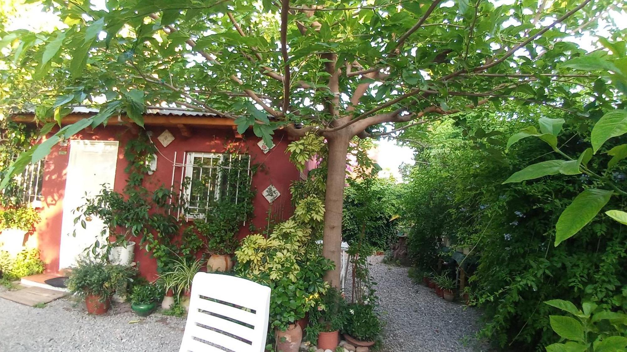 Casa Con Jardin Frente Playa De Burriana Βίλα Δωμάτιο φωτογραφία