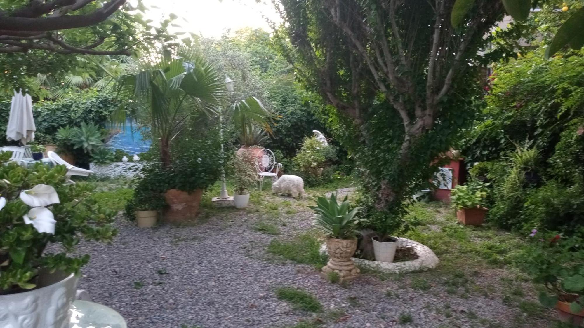Casa Con Jardin Frente Playa De Burriana Βίλα Δωμάτιο φωτογραφία