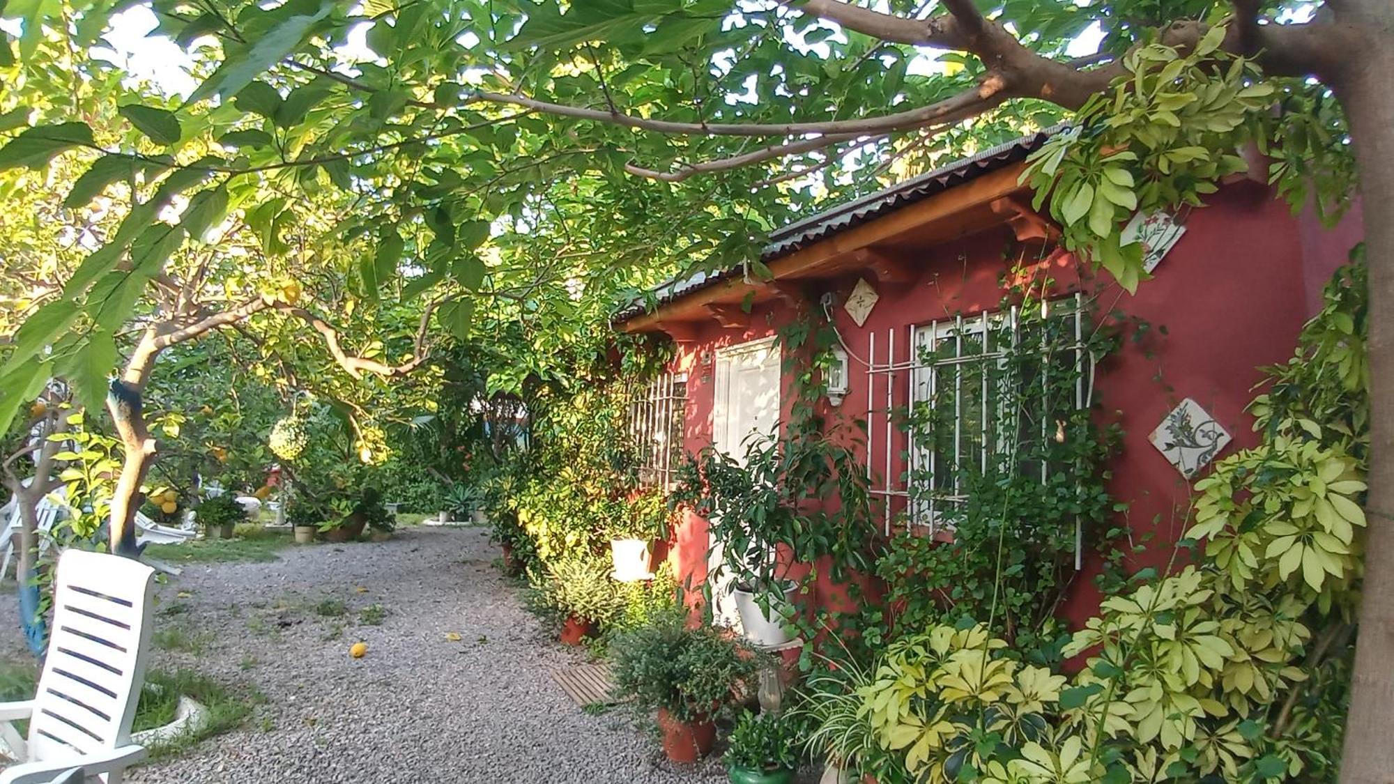 Casa Con Jardin Frente Playa De Burriana Βίλα Δωμάτιο φωτογραφία