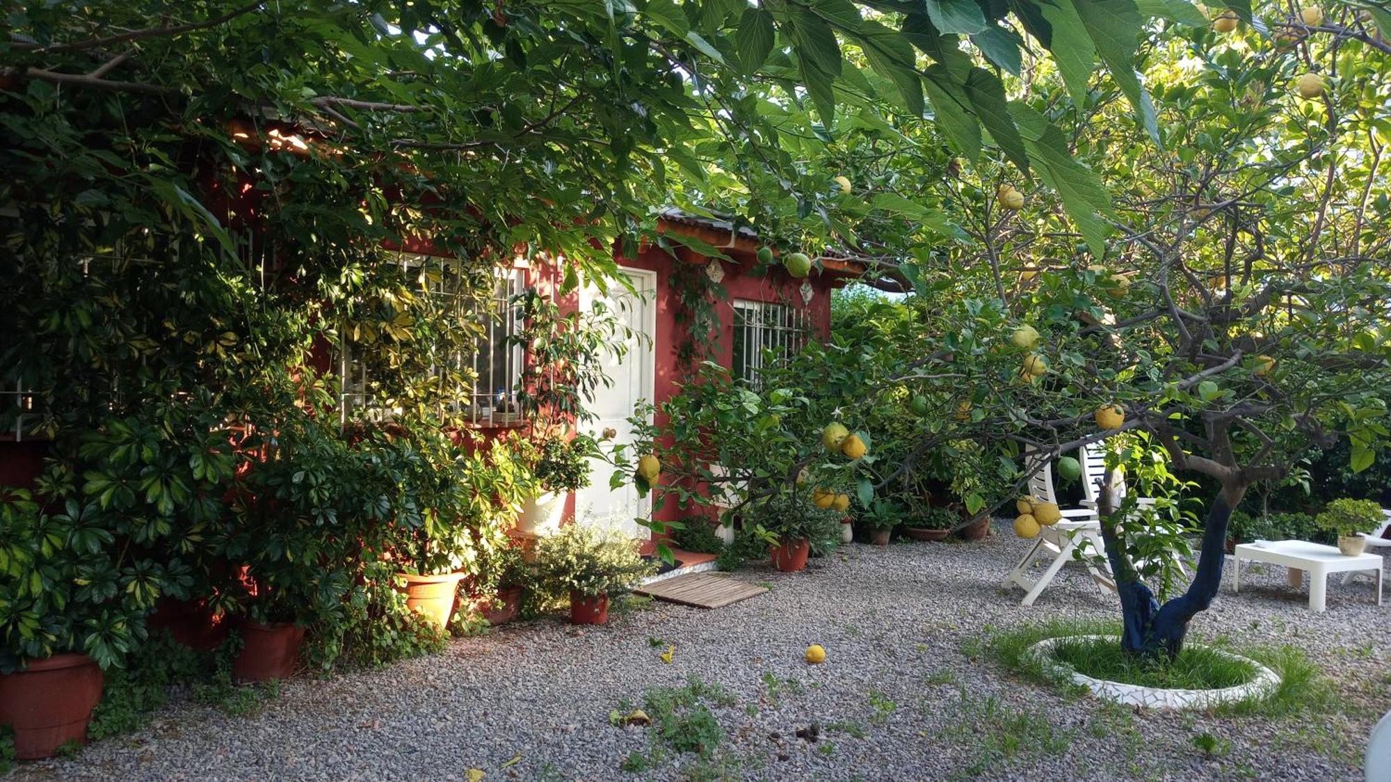 Casa Con Jardin Frente Playa De Burriana Βίλα Δωμάτιο φωτογραφία