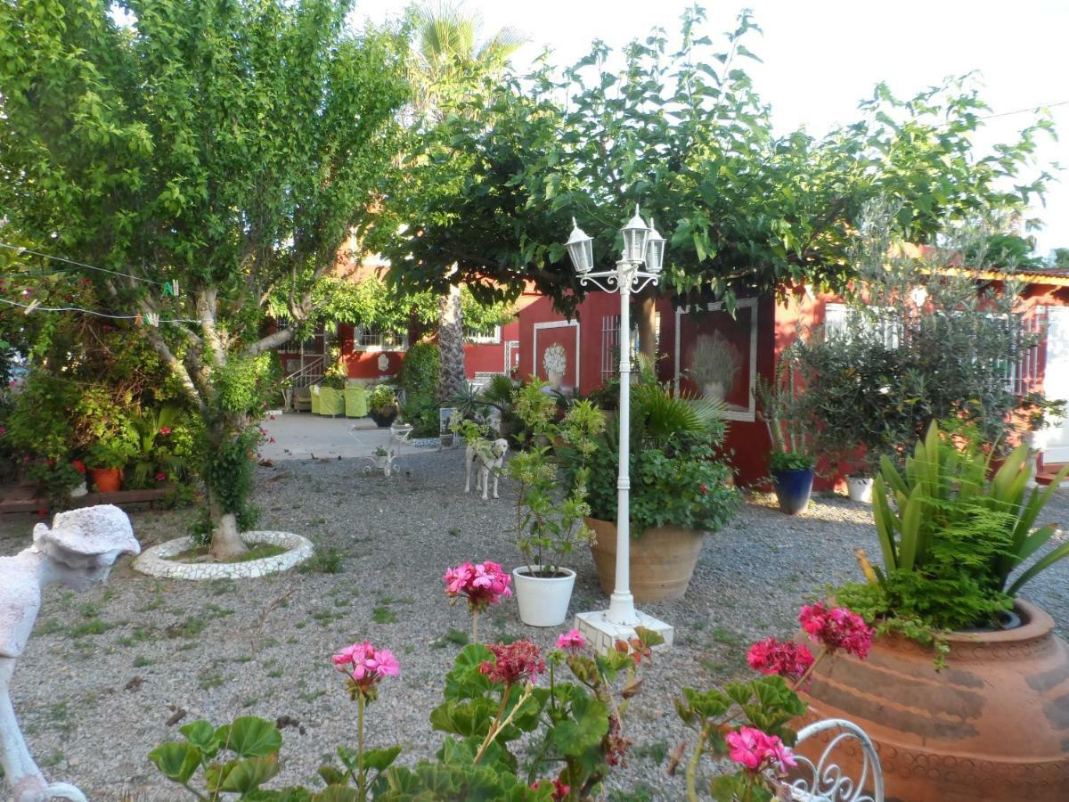 Casa Con Jardin Frente Playa De Burriana Βίλα Εξωτερικό φωτογραφία