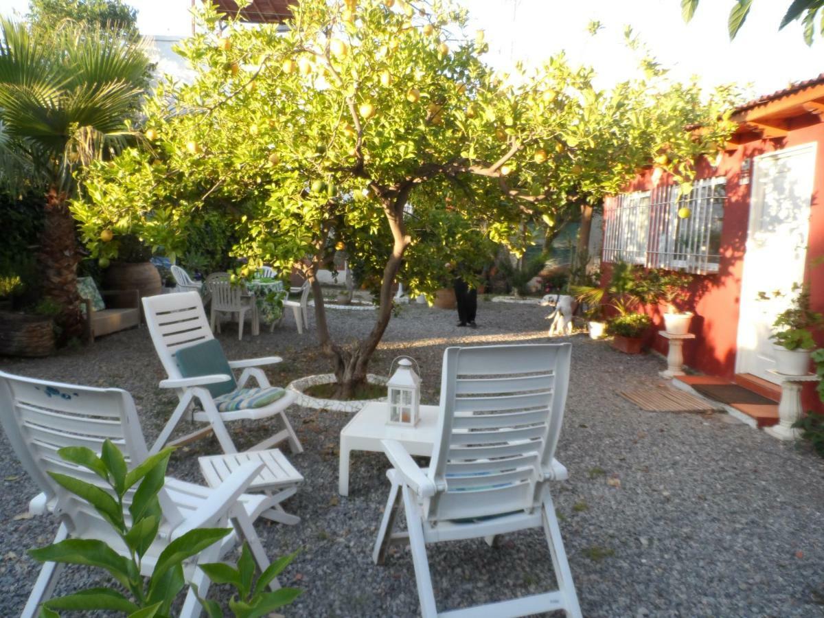 Casa Con Jardin Frente Playa De Burriana Βίλα Εξωτερικό φωτογραφία